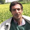 kral6638