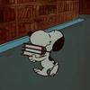 midwestsnoopy