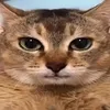 aaaaaaaaa.aaaaaaaa123