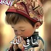 user223113211