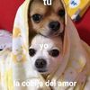 soygerardo_2103