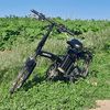 dima_shadiw