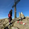 sofi_carnevali