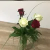 ammar.hasan79