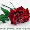 lahrizia3004