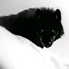 usernvhb464rgi