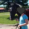 emule_proksova