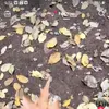 www.tiktokkkkkkkkk