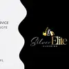 silver_elite_cleaning
