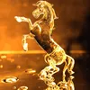 kenh_tong_hop_videochina