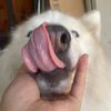 neyugnmahkceb