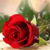 user78306190