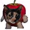 manzana___02