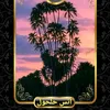 anashalhoul70