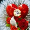 umairbhatti11212