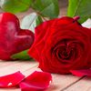 s.l.sk0546104363