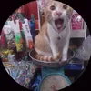 hntp.pwt_