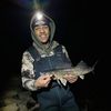 mfishy16