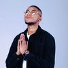 shadyflex_sa