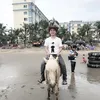 Trung 6686