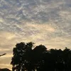dangtran99
