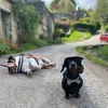stanleyandhugo1