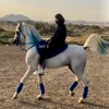 جنّىٰ العتيبي🐎🤎.