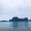 huyhoang1607_hhp