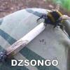 dzsongo123