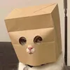 noymss