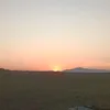 josefrancisco71