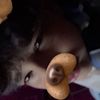 kelvmeows