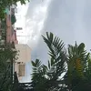 ironisherefoyo