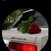 asgerov__743
