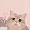 baohcongiudotr