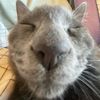 Ilovemykittygf