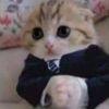 kitttymeoww_