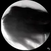 n0t.f5