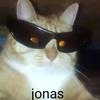 kid.jonas