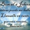 st46388882javier