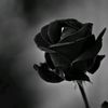 user4294137238