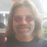 sheardog1