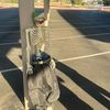 its_jovani