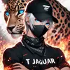 JAGUAR  TV