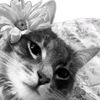 lovelyyas569