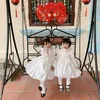 donhai2393