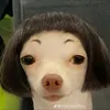 afhudj24
