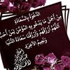 hadeel798984