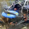 amazonaquariumdesignna