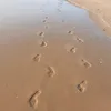 chuku.1